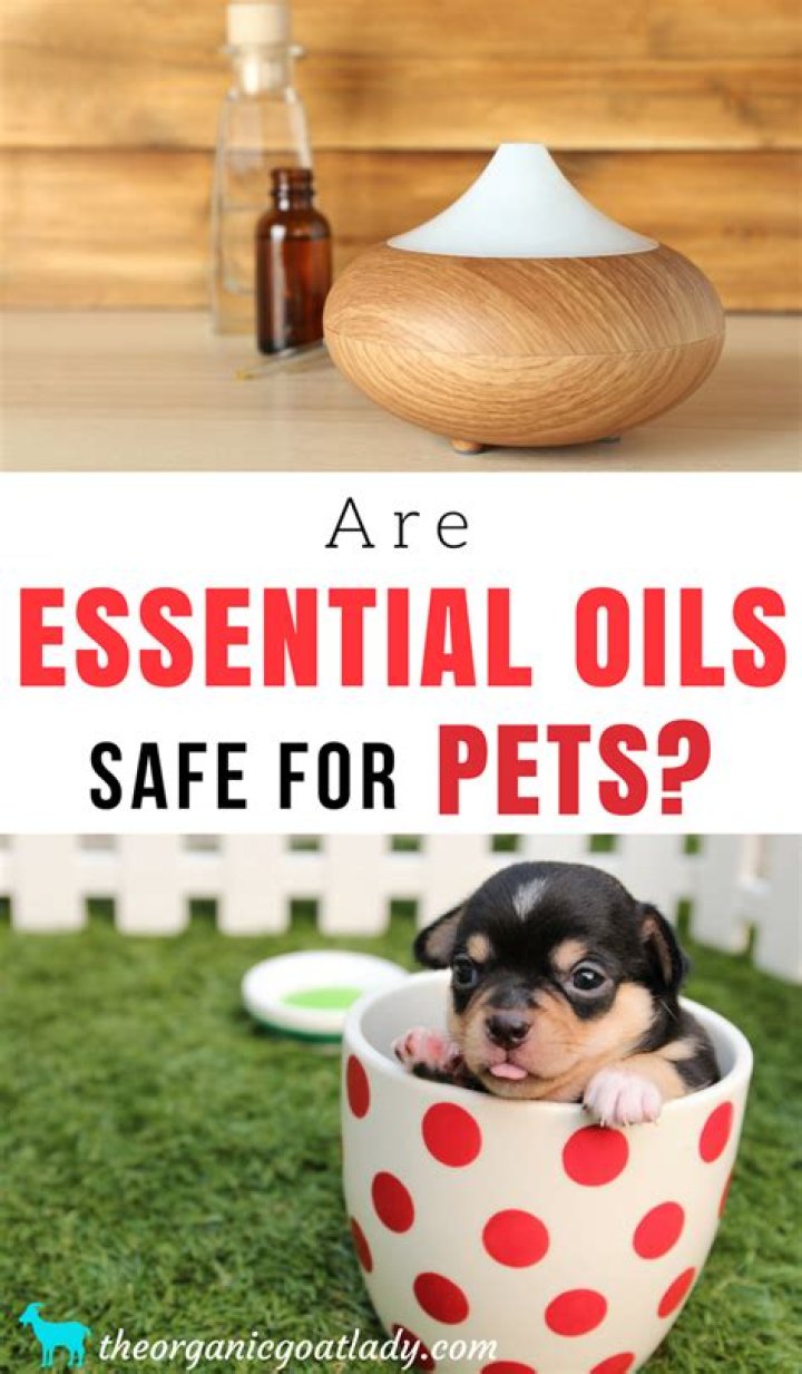 Are essential oils safe for pets?