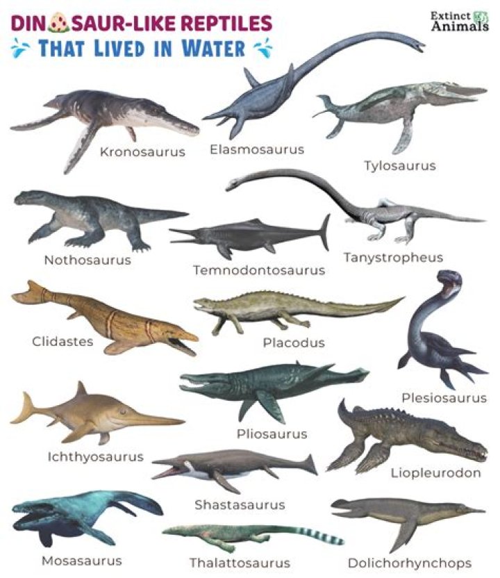 Does dinosaurs lived in water?